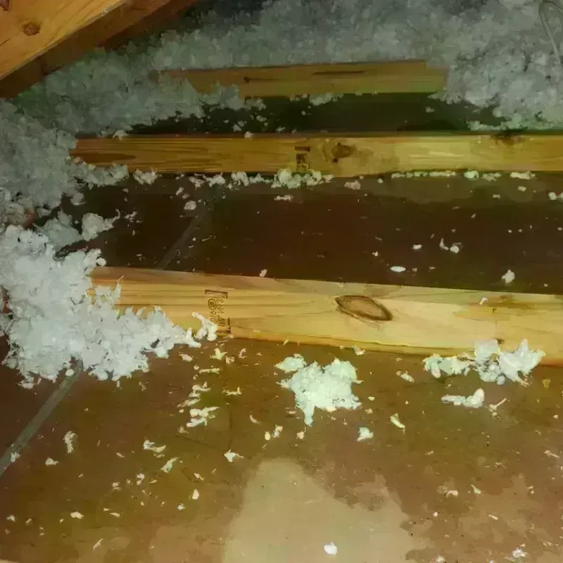 Attic Water Damage in Boston Heights, OH