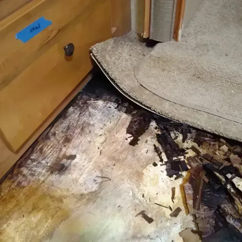 Best Wood Floor Water Damage Service in Boston Heights, OH